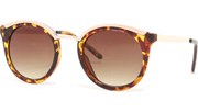 Modern Cool Sunglasses - Tortoise/Brown