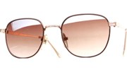 Small Metal Spec Sunglasses - BrnGld/Brown