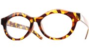 Round Clear Chunky Glasses - Tortoise/Clear