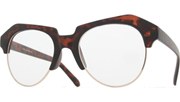 Raised Brow Glasses - MatteTort/Clear