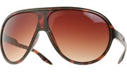 Colored Outlined Aviators - Tortoise/Brown